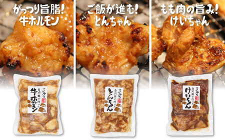 白川郷 自家製 ホルモン けいちゃん とんちゃん セット 計1kg（250g×3種4個セット） 国産牛 豚 鶏肉 郷土料理 味噌漬け 味付き BBQ バーベキュー 自家製 簡易梱包 訳あり 訳アリ て