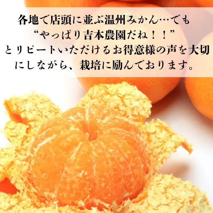 【先行予約】愛媛みかん 3kg (傷み補償200g付き)  みかん 愛媛県 愛南町 吉本農園