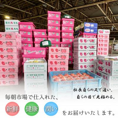 ふるさと納税 高松市 【毎月定期便】旬を見極めた、厳選フルーツ詰合せ定期便【満足コース】(3〜5品種)全4回 |  | 03