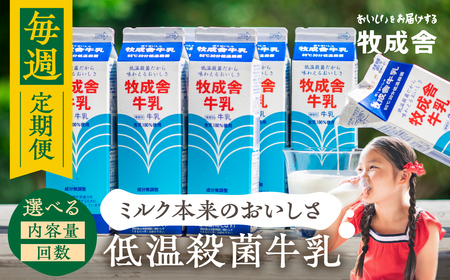毎週定期便 4回 牛乳定期便 4回定期便 牧成舎のこだわり牛乳 定期便 