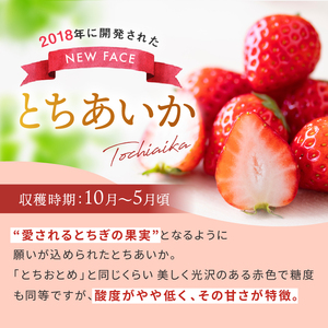 【2025年先行予約】日本一のいちご生産量を誇るJAはが野が厳選 とちあいか平パック4P