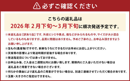 【訳あり】 不知火 5kg 柑橘 訳あり みかん 蜜柑 ミカン フルーツ 果物 くだもの 愛媛みかん 愛媛県産【2026年2月下旬-3月下旬発送予定】【えひめの町（超）推し！（愛南町）】（567）