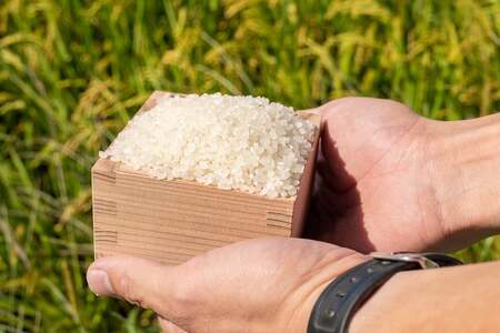 【令和7年産先行予約】 馬町さくらファームのはえぬき 精米 15kg（5kg×3袋）　K-7108