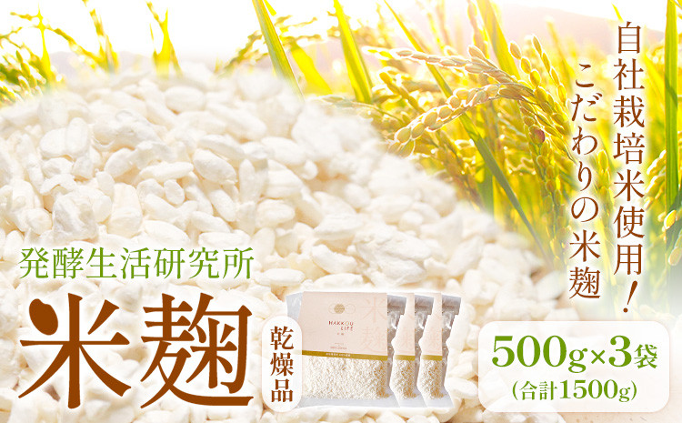 
            発酵生活研究所 米麹(乾燥品) 500g×3袋 丸本酒造株式会社《30日以内に出荷予定(土日祝除く)》岡山県 浅口市 米麹 麹 こうじ 乾燥 発酵食品 甘酒 塩麹 味噌 送料無料
          