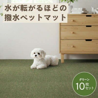 【ふるさと納税】水が転がる程の撥水性!撥水ペットマット「UKU」10枚セット グリーン【1661664】
