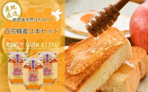 
            ＜能登からお届け＞国産 天然 百花蜂蜜（175g×3本）【蜂蜜 はちみつ ハチミツ 計525g 国産蜂蜜 国産はちみつ 純粋はちみつ 百花蜂蜜 百花はちみつ ハチミツ】
          