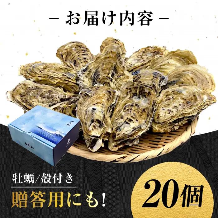 生牡蠣殻付き20個 牡蠣[XBP008]