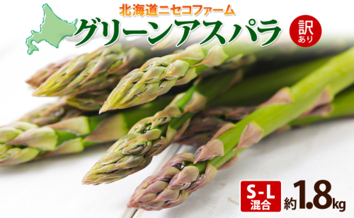 【 2026年 発送 】 北海道産 グリーン アスパラガス 約 1.8kg S - L サイズ混合 アスパラガス アスパラ 旬 朝採り 新鮮 お取り寄せ 産地直送 産直 野菜 農作物 詰め合わせ 国産 しりべしや ニセコファーム 北海道