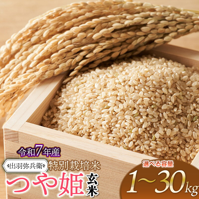 【ふるさと納税】令和7年産 特別栽培米つや姫【玄米】　容量選べます［1kg・2kg・5kg・10kg・20kg・30kg］　山形県鶴岡市産　出羽弥兵衛　| お米 コメ こめ つやひめ ご飯 ごはん ブランド米 国産 美味しい おいしい 返礼品