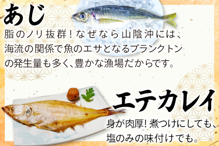 定番の干物４種詰合せセット【アジ エテカレイ ハタハタ 白いか 鯵 鰈 鰰 白イカ 島根県産 島根県沖 一夜干し 干物 ひもの 魚 魚介 日本食 和食 贈答 ギフト お取り寄せグルメ ご当地グルメ】