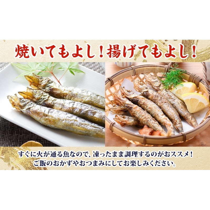 北海道産ししゃもオス大30尾 北海道 稀少 魚 シシャモ オス おつまみ 魚貝類 干物 本物 人気 希少 塩 味付け 脂のり 旨み 美味しい 大きい_イメージ3