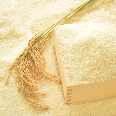 ふるさと納税 いすみ市 【毎月定期便】千葉県いすみ市産 粒すけ 10kg(5kg×2袋)全3回 |  | 02