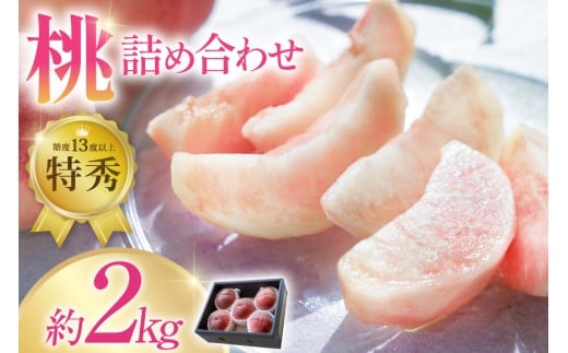 【2026年発送】 桃 山梨 約 2kg 特秀 もも モモ 韮崎市産 旬の桃 詰め合わせ 果物 くだもの フルーツ 2キロ 期間限定 季節限定 冷蔵 産地直送 山梨県産 4～6玉 糖度センサー [梨北農業協同組合 山梨県 韮崎市 20743006]