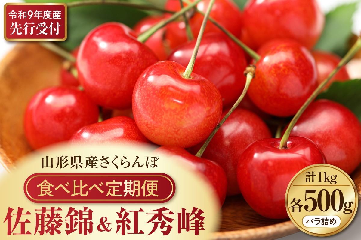 
                  【令和9年産】さくらんぼ食べ比べ2回定期便 「佐藤錦」と「紅秀峰」 各500g×1パック 山形県河北町産【晴天畑】 ka073-018 (2027年産 先行受付 先行予約 さくらんぼ サクランボ チェリー さとうにしき サトウニシキ ベニシュウホウ フルーツ 果物 くだもの 旬 高級 贈答用 ギフト プレゼント 贈り物 産地直送 ご褒美 デザート スイーツ お祝い 送料無料 ふるさと納税)
                