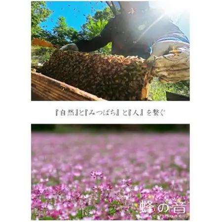 【詰め替え用】純粋国産百花蜂蜜700g×2_調味料 はちみつ  ハチミツ 蜂蜜_【1312399】