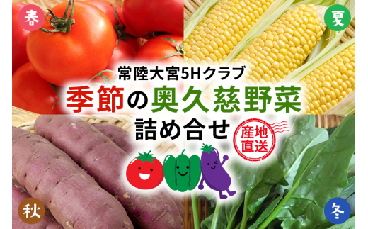 【産地直送】季節の奥久慈野菜 詰め合せセット（春、夏、秋、冬） 野菜 野菜セット 季節 セット 特産 詰め合わせ 国産 旬 おまかせ お楽しみ 直送 【常陸大宮5Hクラブ】【ho1483】