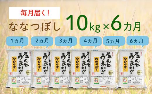 〈令和6年産 新米〉６ヵ月！毎月届く定期便ななつぼし１０kg（たんとうまい）