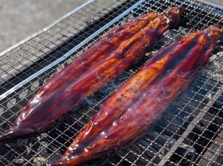 【徳島県産】美波町の森が育んだ「樵木（こりき）備長炭」で焼き上げる。外はパリッ、中はふっくら。職人手焼きの極上うなぎ（大きめ5尾）ふるさと納税 うなぎ 鰻 蒲焼 国産 徳島県 美波町 炭火焼 備長炭 手焼き 大きめ 高級 絶品 お取り寄せ ギフト 土用の丑 SDGs サステナブル 環境保全 伝統　ウナギ