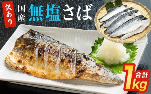 さば 訳あり 無塩サバフィレ 1kg（10枚前後） 冷凍 鯖 無塩 フィレ さばフィレ saba サバ 訳アリ 切り身 海鮮 惣菜 小分け バラ冷凍 不揃い 魚 お魚 焼き魚 煮魚 おかず お弁当 美味しい 簡単調理 石巻応援