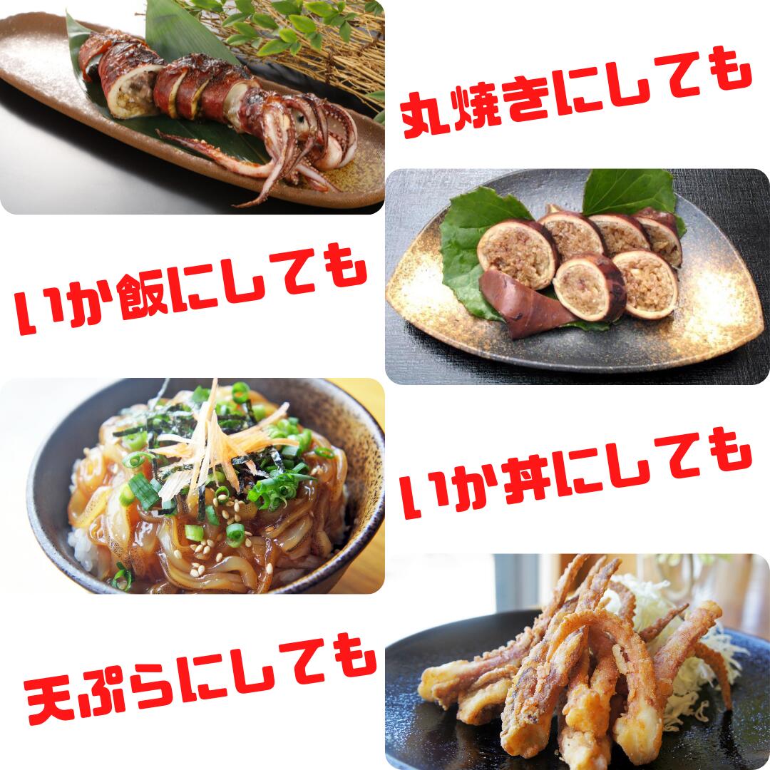 【のし付き】寒シマメ三昧セット お歳暮に スルメイカ3種セット お刺身・おつまみ・おかずにも！_イメージ5