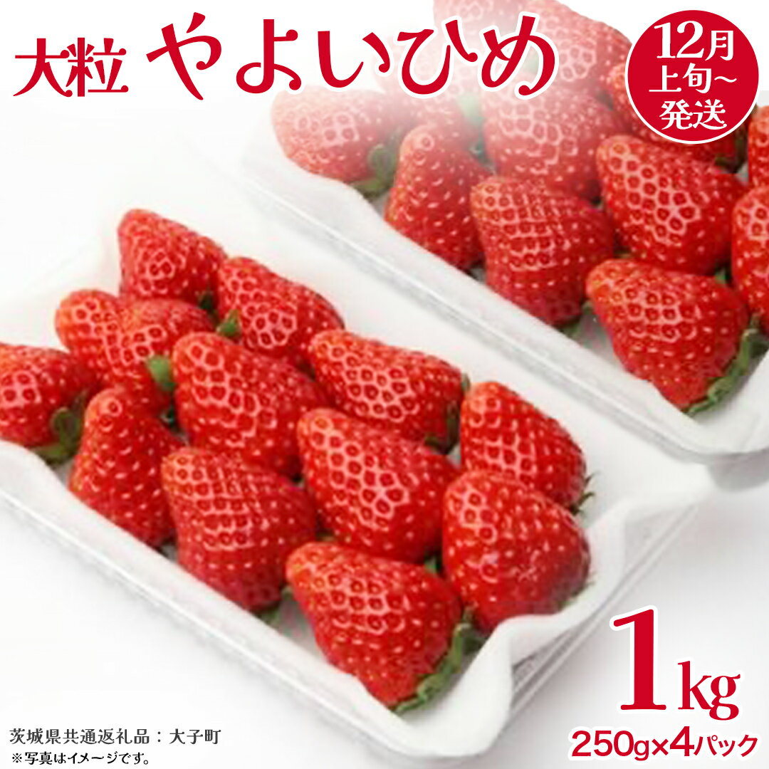【ふるさと納税】やよいひめ 大粒 250g（8～12粒）×4パック【2025年12月上旬発送開始】(茨城県共通返礼品：大子町) いちご 苺 果物 フルーツ 果実