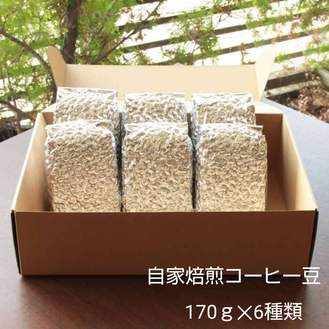 【挽き方：粗挽き】お家でカフェ♪アメリカンスペシャリティ認定豆170ｇ×6袋