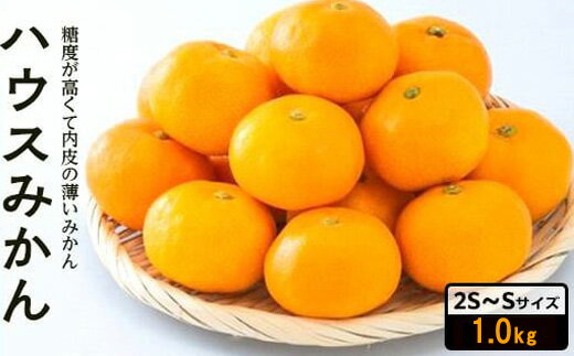 【ふるさと納税】 【先行予約】 8月下旬から発送 ハウスみかん 2SからSサイズ 1.0kg （愛媛県産 みかん 蜜柑 オレンジ 柑橘 果物 フルーツ 家庭用 お取り寄せ おすすめ 愛媛県 松山市 ）
