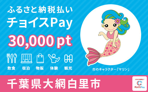 
大網白里市チョイスPay 30,000pt（1pt＝1円）【会員限定のお礼の品】
