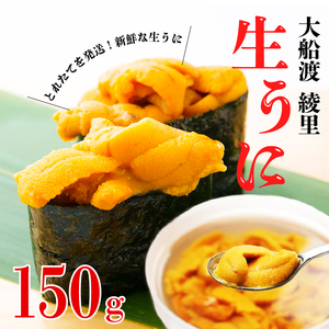 【期間限定】 水揚げ24時間以内発送 綾里の生うに 150g 数量限定 冷蔵 ミョウバン不使用 岩手県産 ムラサキウニ [ 季節限定 生うに 生雲丹 天然 海鮮丼 寿司 ウニ丼 刺身