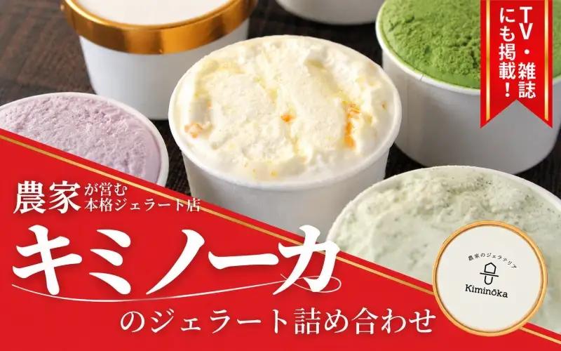  ジェラート セット 12個 12月発送 21000円 / キミノ―カ アイス クリーム スイーツ 野菜 果物【kmk105-dec-12】
