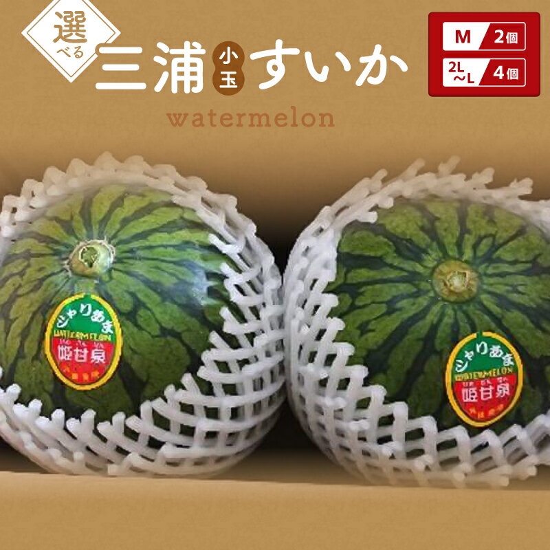 【ふるさと納税】＜選べる＞三浦 小玉 すいか Mサイズ or 2L ～ Lサイズ 2個 or 4個 スイカ 西瓜 小玉 フルーツ 果物 果実 果肉 甘い ご褒美 期間限定 限定 贈答 マルマン木村農園 神奈川県 三浦市 ランキング プレゼント ギフト