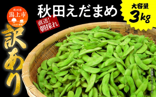 【先行予約　令和6年産】枝豆 3kg 訳あり （B品）