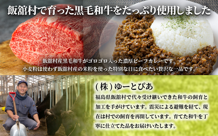 飯舘産黒毛和牛キーマ　5食セット ITTAH011