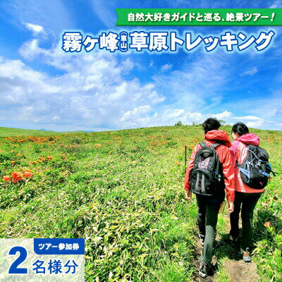 【ふるさと納税】【霧ヶ峰(車山)草原トレッキング】〜自然を感じて、五感を使う　のんびり山歩き〜ツアー参加券2名様分 3名様分／八ヶ岳登山企画 トレッキング 体験型 アウトドア 子供 チケット 観光 信州 諏訪【88-07】【88-08】