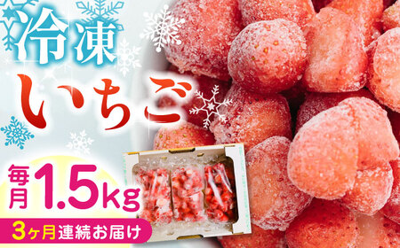 【全3回定期便】冷凍 いちご 計1.5kg 冷凍ｲﾁｺﾞ 冷凍ｲﾁｺﾞ 冷凍ｲﾁｺﾞ 冷凍ｲﾁｺﾞ 冷凍ｲﾁｺﾞ [YBI018]