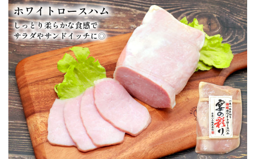 ハム 宴の彩り 2種 詰め合わせ 食べ比べ 計1.22kg [日本ハムマーケティング 宮崎県 日向市 452060590] ニッポンハム はむ 豚 肉 ロースハム ステーキ ギフト 真空 冷蔵