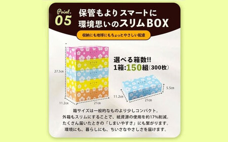 2か月ごと3回　プラムファッション Boxティッシュ 5箱×12パック