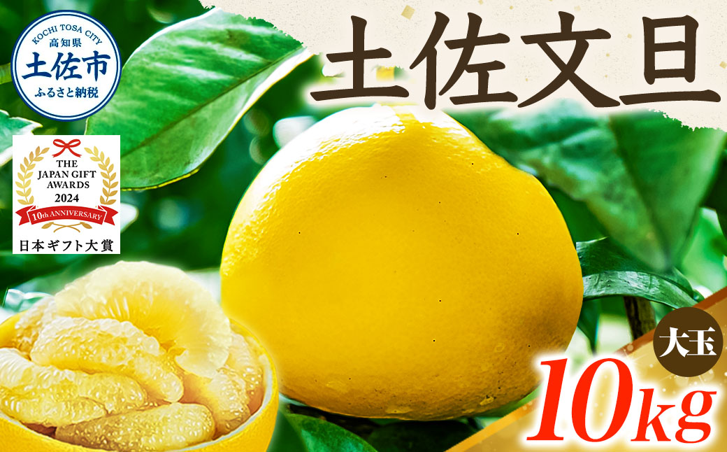 【日本ギフト大賞2024受賞】【先行予約】文旦 大玉10kg（3L～2L）2026年1月下旬より順次発送 土佐文旦 みかん 柑橘 ぶんたん ブンタン 果物 フルーツ お取り寄せ おいしい 家庭用 贈答用 土佐市 高知 ふるさと納税 春 旬 返礼品 高知県 高知 24000円