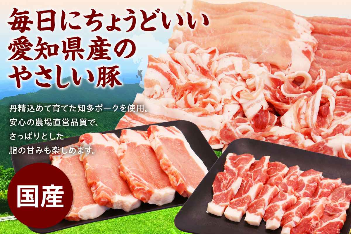 知多ポークバラエティーセット 便利な小分け 知多ポーク 自社ブランド 豚肉 焼き肉 焼きそば 炒め物 とんかつ しゃぶしゃぶ 焼肉 豚バラ 豚ロース 豚肩ロース 豚モモ うす切り 豚小間切れ とんとこ