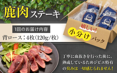 【全12回定期便】鹿肉 背ロース 120g×4枚 《喜茂別町》【EBIJIN】 ジビエ 鹿 ロース ステーキ ステーキ用 赤身 冷凍 冷凍配送 [AJAO039]