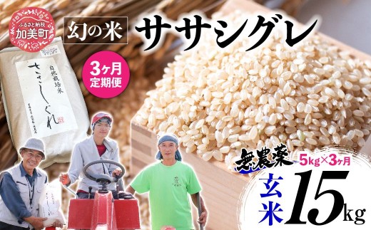 《 希少品種米 》  米 令和7年 宮城県産 ササシグレ ( 栽培期間中農薬・肥料不使用 ) 【 3回 定期便 】 玄米 5kg × 3ヶ月 （ 合計 15kg ）｜ 宮城県 加美町 無農薬 お米 こめ コメ ささしぐれ ササニシキ の 父 ｜ nt-ss05-gn-t3-r7