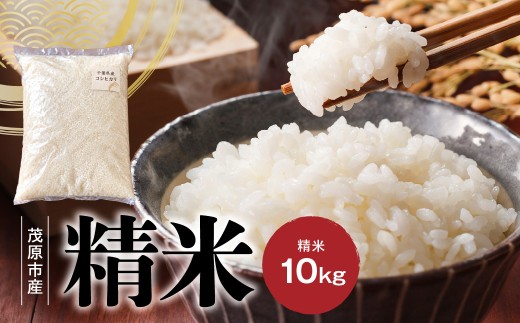 千葉県産コシヒカリ10kg 【 米 精米 新米 コメ こしひかり 千葉県 茂原市 送料無料 ふるさと納税 】 MBBL002