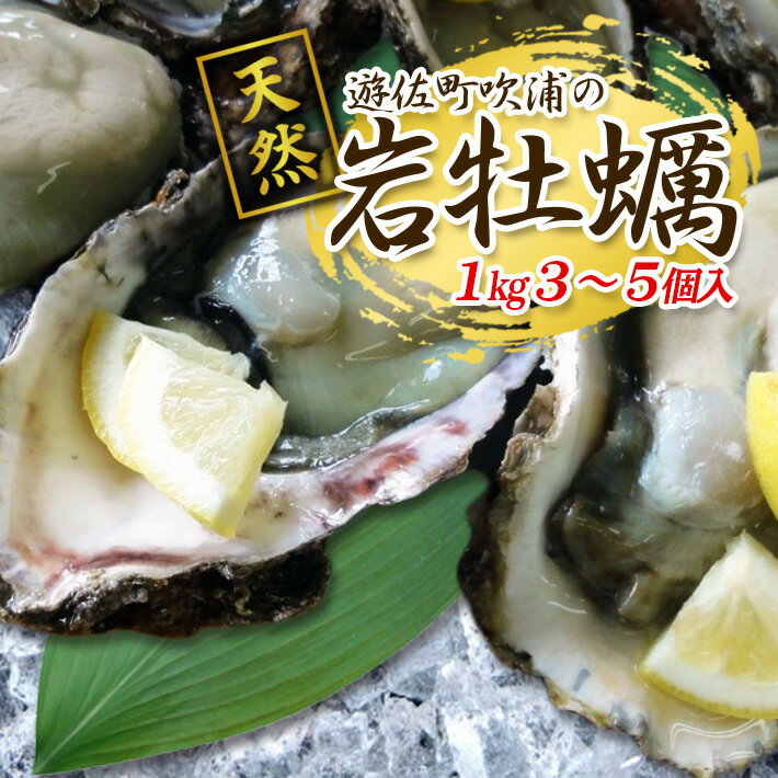 【ふるさと納税】天然岩牡蠣 約1kg 3～5個入 殻付き 山形県遊佐町吹浦産 6月上旬〜8月下旬頃お届け 冷蔵便 ※着日指定・離島（沖縄県を含む）発送不可 カキ かき 岩かき お取り寄せ 日本海 東北 庄内 鮮魚 新鮮