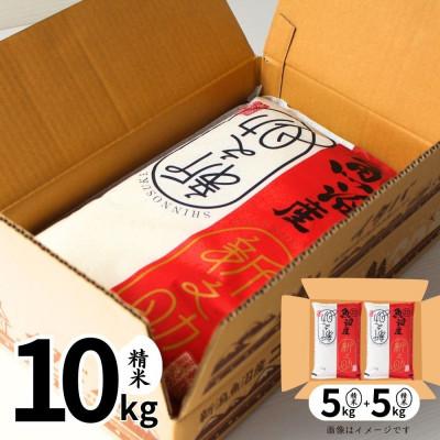ふるさと納税 十日町市 【令和7年産】魚沼産新之助(精米)10kg |  | 01