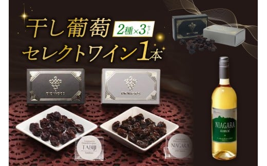 Ｃ北海道完全無添加干し葡萄と札幌産セレクトワイン1本のマリアージュセット