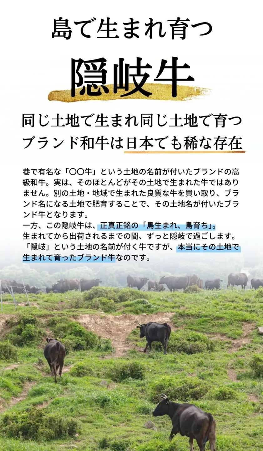 【幻の黒毛和牛 隠岐牛 上切り落とし400g】A4・A5等級 島生まれ島育ちブランド牛