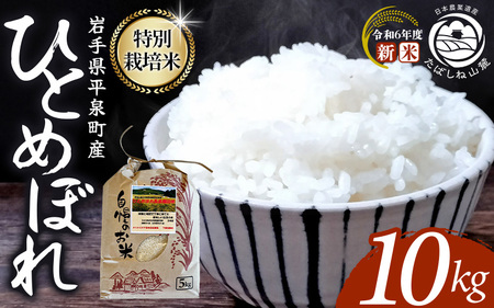 7‐14日以内発送!!【令和6年産新米】平泉町産 特別栽培米ひとめぼれ 10kg（10kg×1） 農薬50%削減 体に優しい 棚田のお米 【米 お米 ひとめぼれ 平泉 米 白米 こめ 岩手 東北 日本農業遺産】米 お米 米 お米 米 お米 米 お米 米 お米 米 お米 米 お米 米 お米 米 お米 米 お米 米 お米 米 お米 米 お米 米 お米 米 お米 米 お米 米 お米  【mih400-hito-10B】