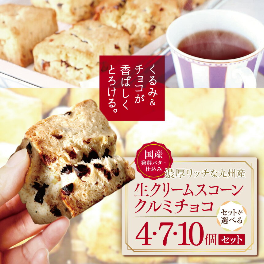 【ふるさと納税】国産発酵バター仕込み濃厚リッチな九州産生クリームスコーン クルミチョコ 選べる 内容量 4個 ～ 10個 セット | お菓子 菓子 おかし 洋菓子 焼き菓子 イギリス菓子 チョコスコーン クルミ おやつ デザート スイーツ 手作り 大分県 中津市 送料無料