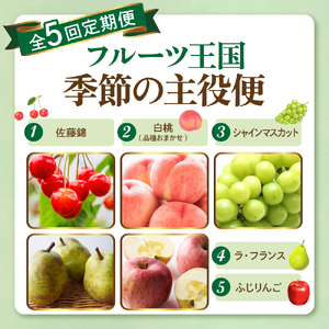 【2026年 先行予約 5回定期便】2026年 フルーツ王国 季節の主役便 千笑花夢提供 山形県 東根市 hi082-046　（サクランボ さくらんぼ 佐藤錦 フルーツ 果物 くだもの ぶどう シャイ