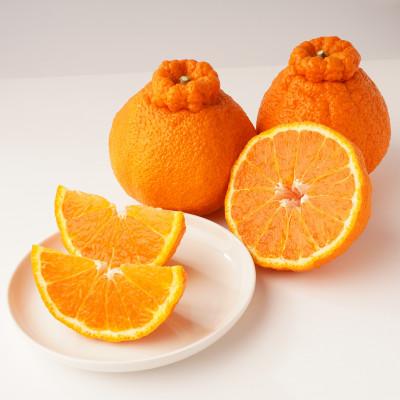 ふるさと納税 三豊市 【発送月固定定期便】三豊市特選こだわりフルーツ全12回